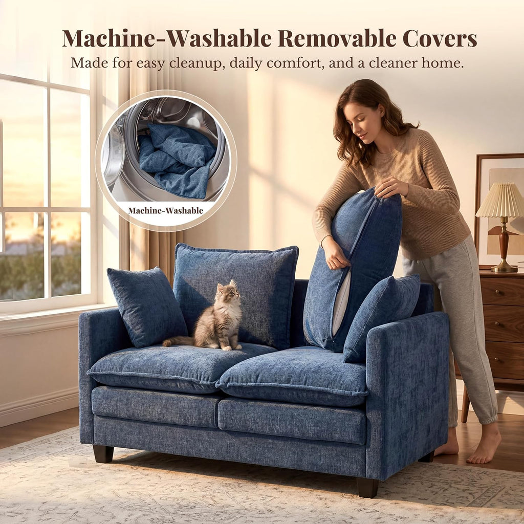 Cloud Cushioned Small Loveseat Sofa